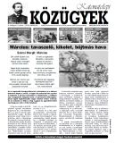 A h�l�zatos verzi� megnyit�sa Open the online version