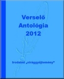 Az archiv�lt  verzi� megnyit�sa Open the archive version